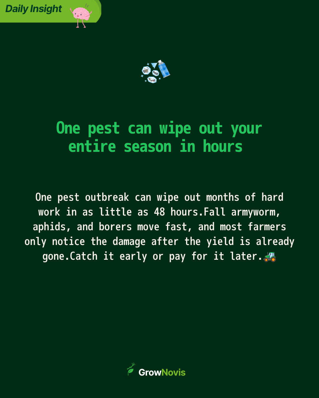 Pest