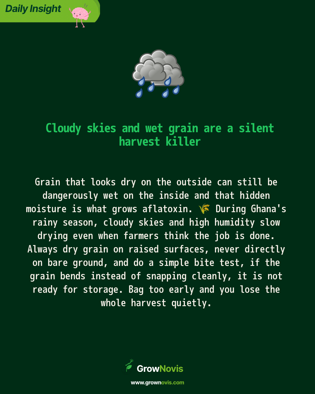 Weather