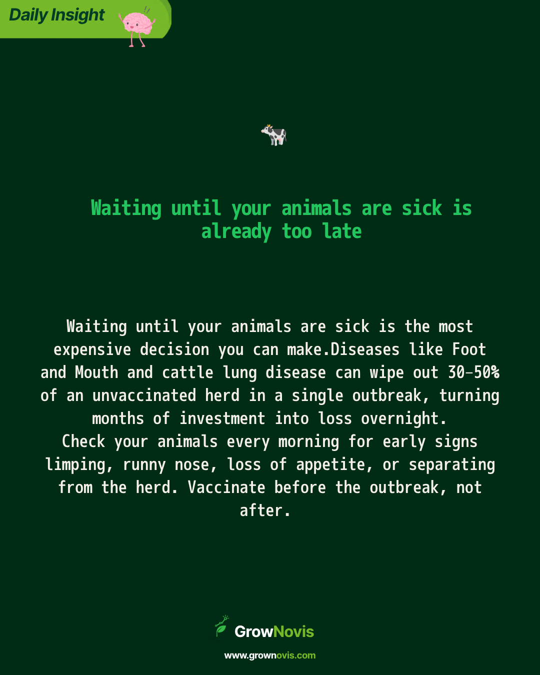 Livestock
